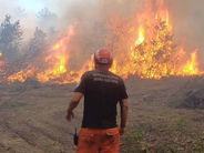 Թուրքիայում հրդեհների մարման ժամանակ 10 հրշեջ է զոհվել