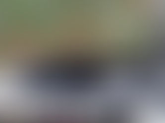 Հրկիզել են «Դիլիջան ազգային պարկի» պահպանության ծառայության ղեկավարի մեքենան. նախարար