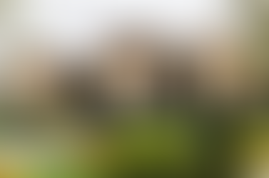 ԱԺ ընդդիմադիր ուժերը ցանկանում են արտահերթ փակ նիստ հրավիրել՝ Փաշինյանի մասնակցությամբ