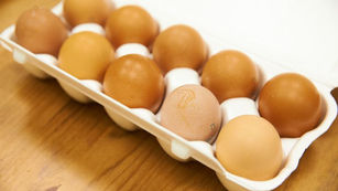 Բժիշկը նշել է ձվի անվտանգ քանակը սննդակարգում