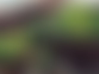 Ոչ բոլորի համար է օգտակար. հայտնի է դարձել, թե ով չպետք է բրոկկոլի ուտի