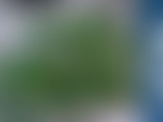 Սարատակի բնակչի բակում հայտնաբերվել է կանեփի 152 ցողուն