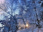 Եղանակը Հայաստանում