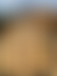 Նախագիծ՝ կացարանով ապահովման խնդիր ունեցող ընտանիքների համար․ ԱՍՀՆ