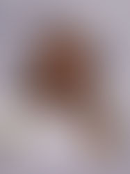 «Ուժեղ Հայաստան» կուսակցության համակիր 4 ընկերների մոտ չի հաջողվել փաստաբանի մուտքը