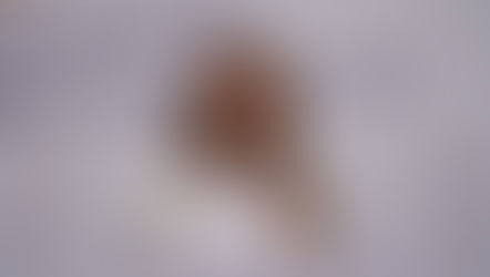 «Ուժեղ Հայաստան» կուսակցության համակիր 4 ընկերների մոտ չի հաջողվել փաստաբանի մուտքը