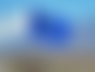 ԱՊՀ երկրները մտադիր են դիտորդի կարգավիճակ ստանալ ՀԱՊԿ-ում