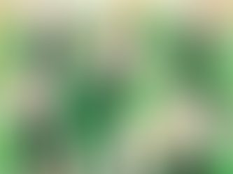 Աշխարհում հայտնվել է հարուստների նոր կատեգորիա՝ սուպերմիլիարդատերեր. առաջատարը Մասկն է. The Wall Street Journal