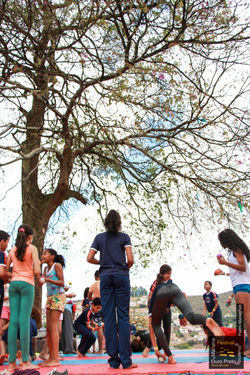 19845823271_4b1ff60c25_o