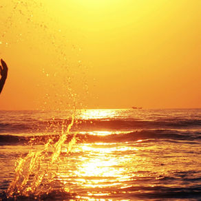 How to find peace within the carnival of life