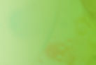 cartridge background image_Lemon & Mint.jpg