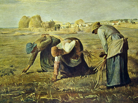 Episode 7: The Peasant Rusticus