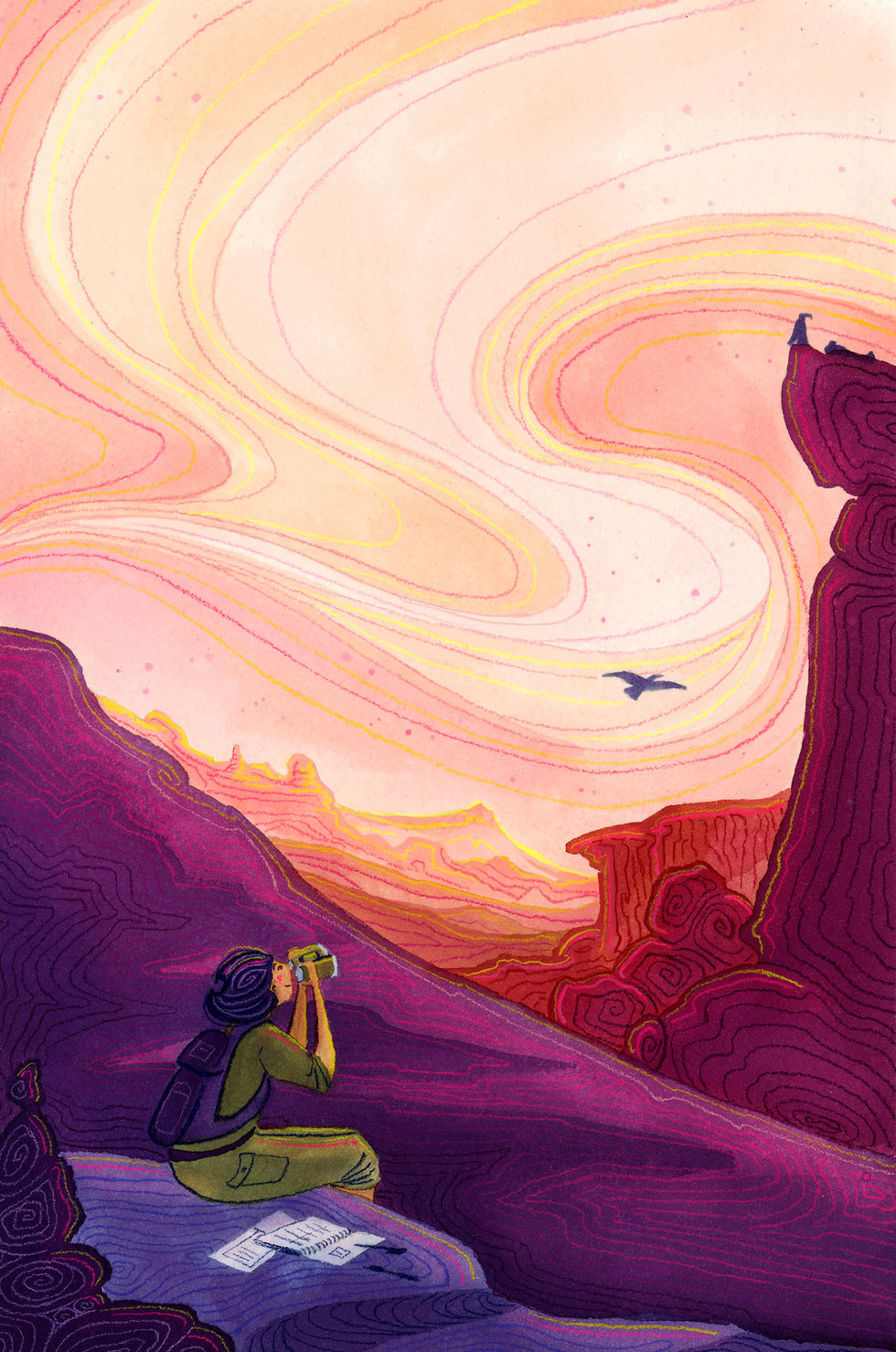 YA coming of age illustration showing a student bird watching in the desert while learning conservation science.