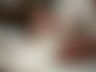 Meet Viorica Bocioc: The Porcelain Art Virtuoso