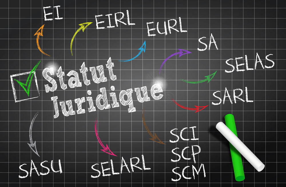 La Société par Actions Simplifiées Unipersonnelle (SASU)