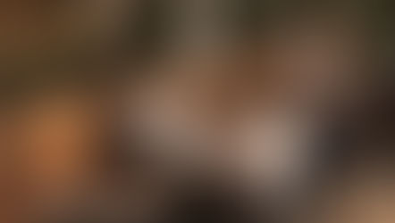 Revalorisation de la limite d’exonération des titres-restaurant