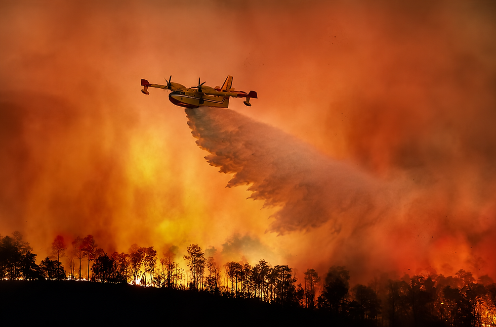 Incendies : activité partielle et sécurité des salariés