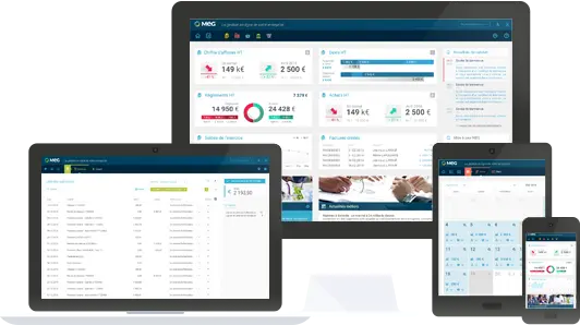 MEG - Mon Expert en gestion