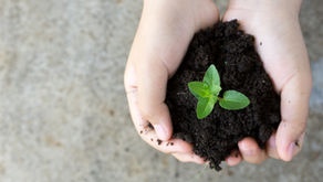 Responsabilité Sociétale des Entreprises (RSE) 