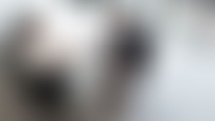 Plan d’épargne entreprise (PEE), comment ça marche ?