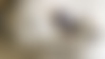 Des primes versées par erreur, mais de façon continue, peuvent-elles être supprimées par l’employeur ?