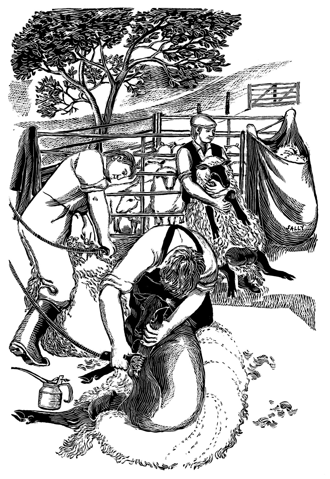 'Sheep Shearing' print