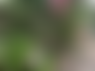 はるのガーデン 花の楽園