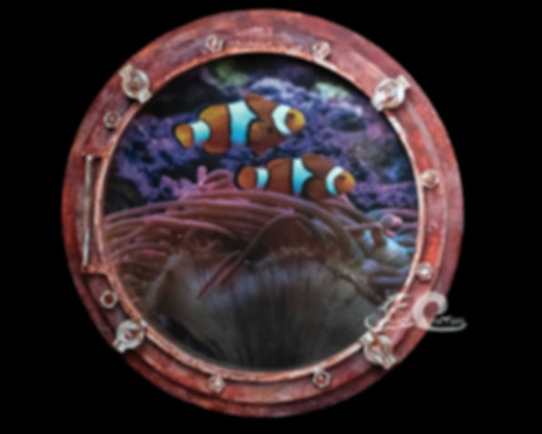 Keep friends close, anemones closer! - Porthole