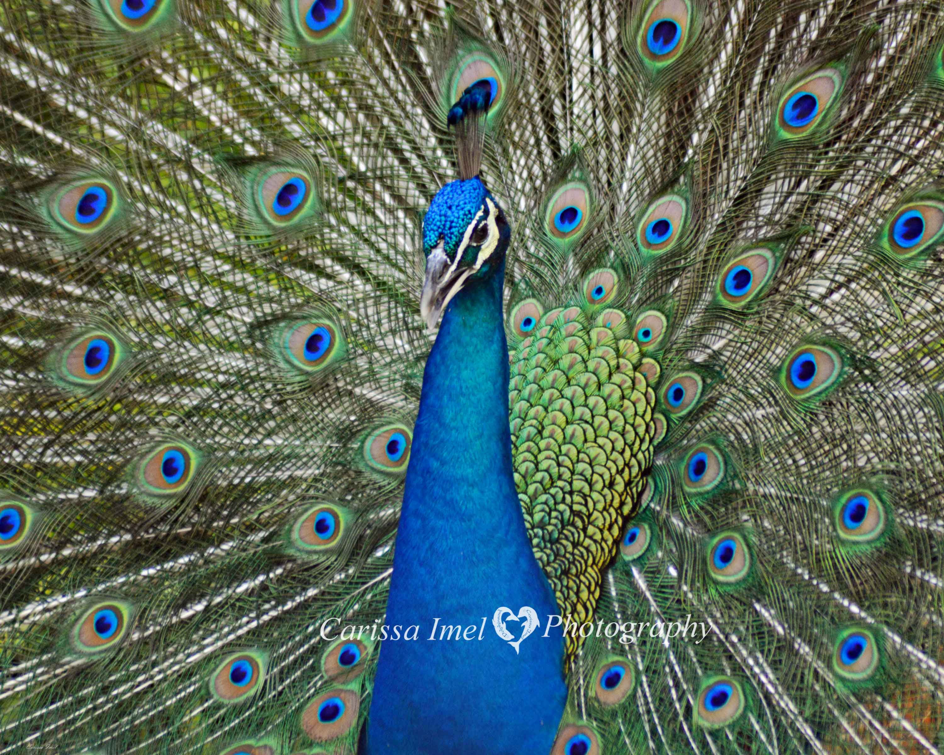 I've got my eyes on you!