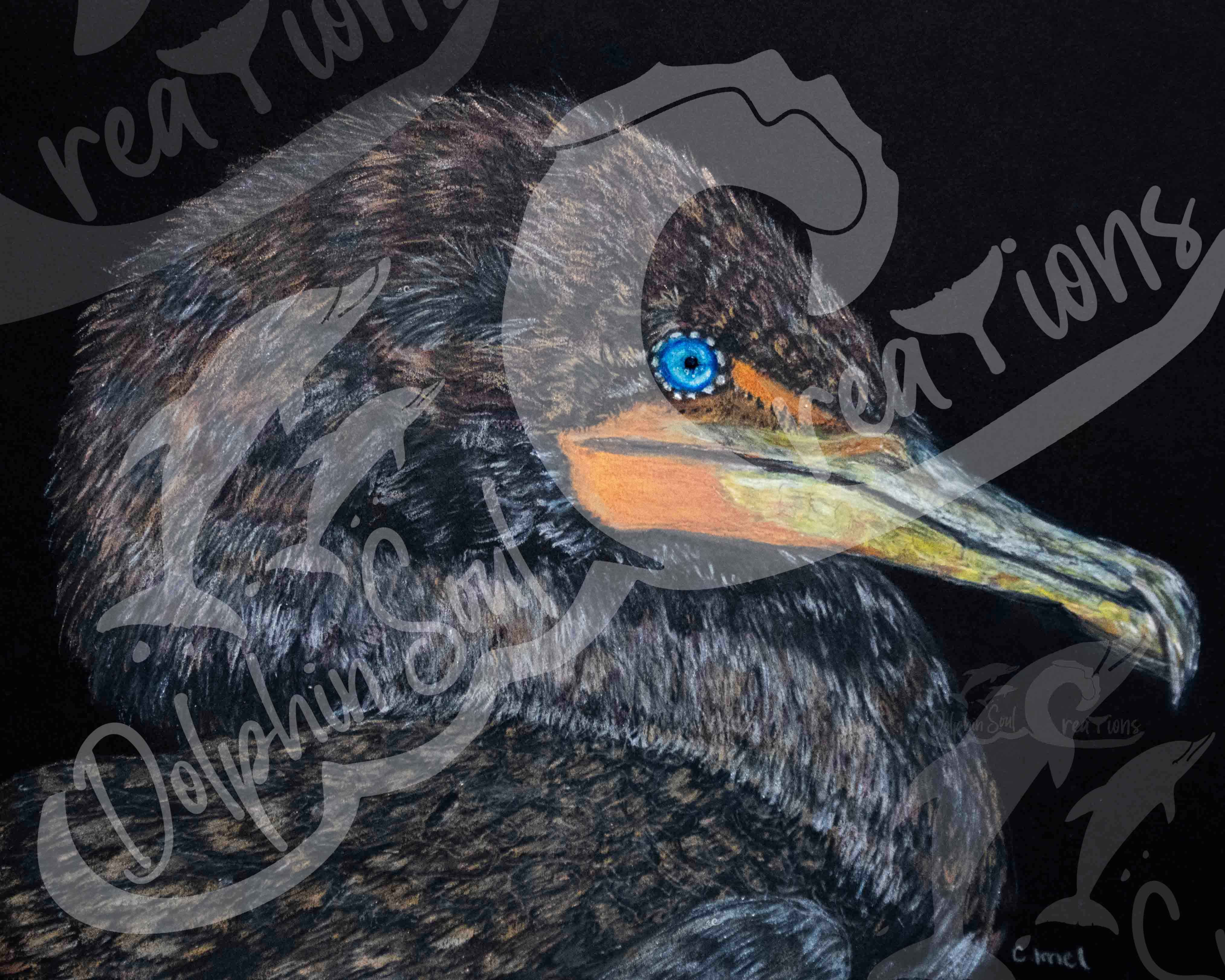 Cormorant - mixed media