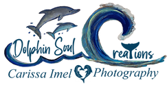 Dolphin Soul Creations and Photography Logo