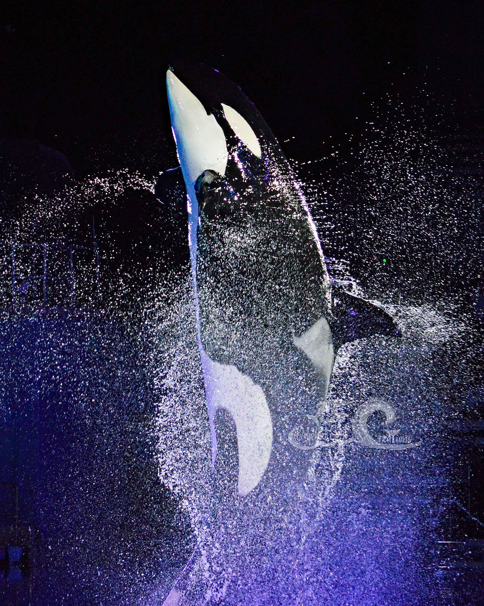 Doin' the Sprinkler!