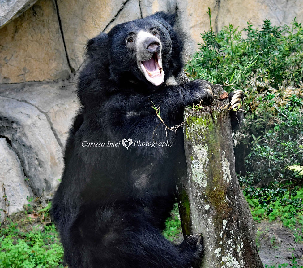 Smiling is my Favorite!!