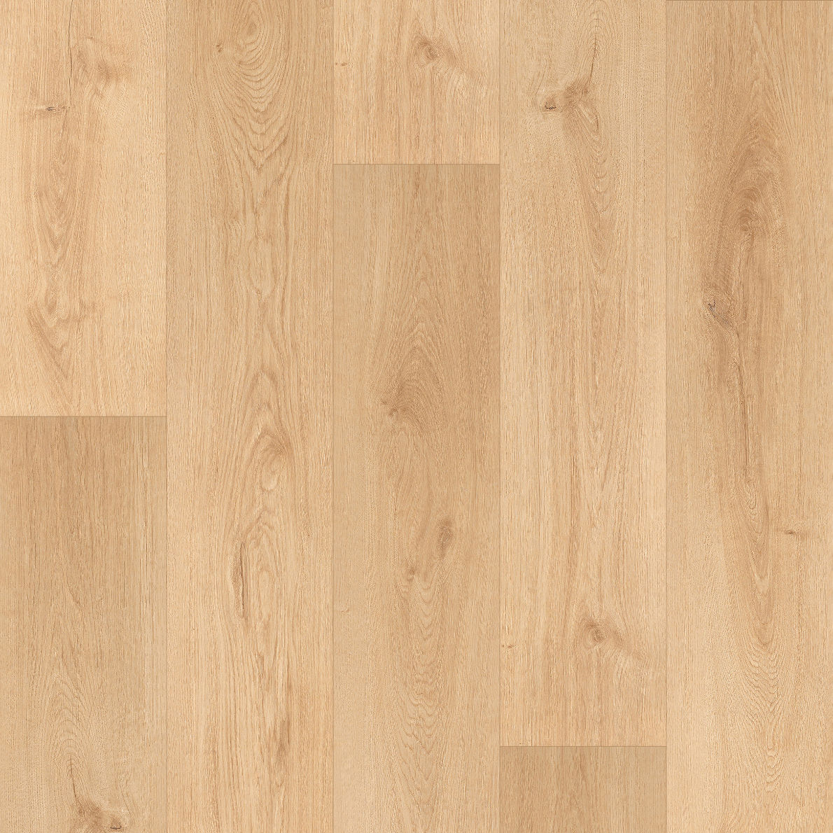 SBM Elite 12 mm Natural Oak Laminate Flooring