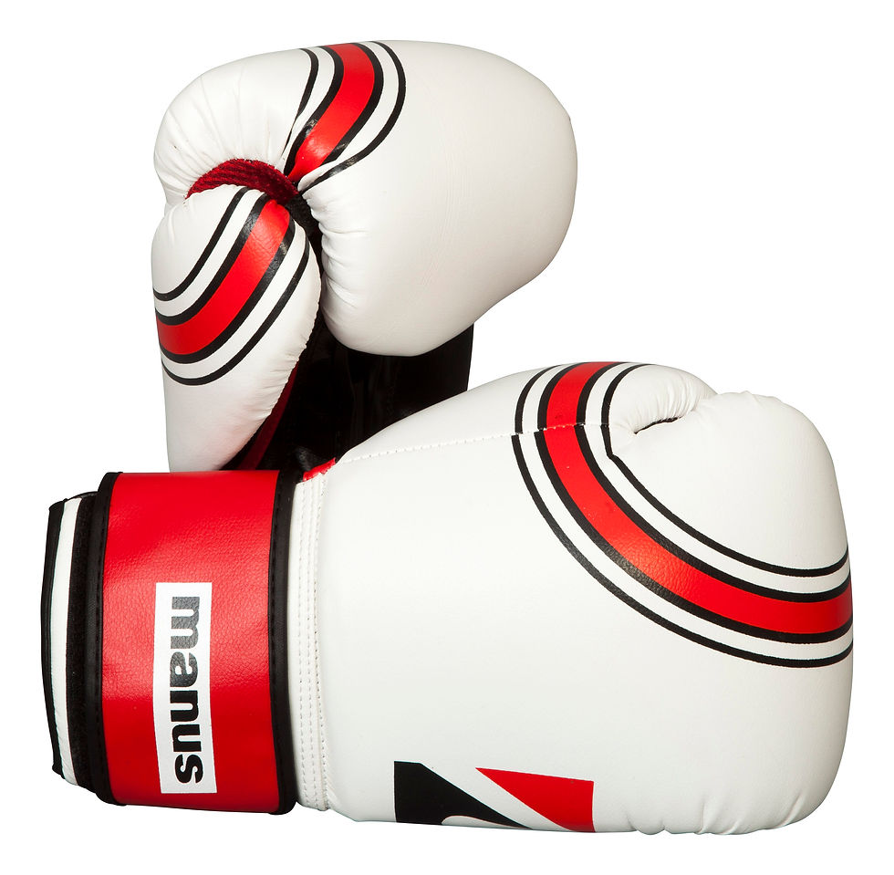 Miniaturbild: Box-/Sparringhandschuh MANUS