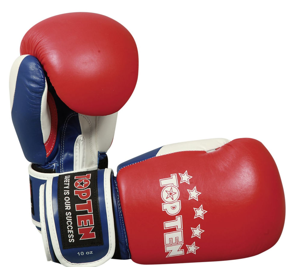 Miniaturbild: Boxhandschuh TOP TEN "Fight"