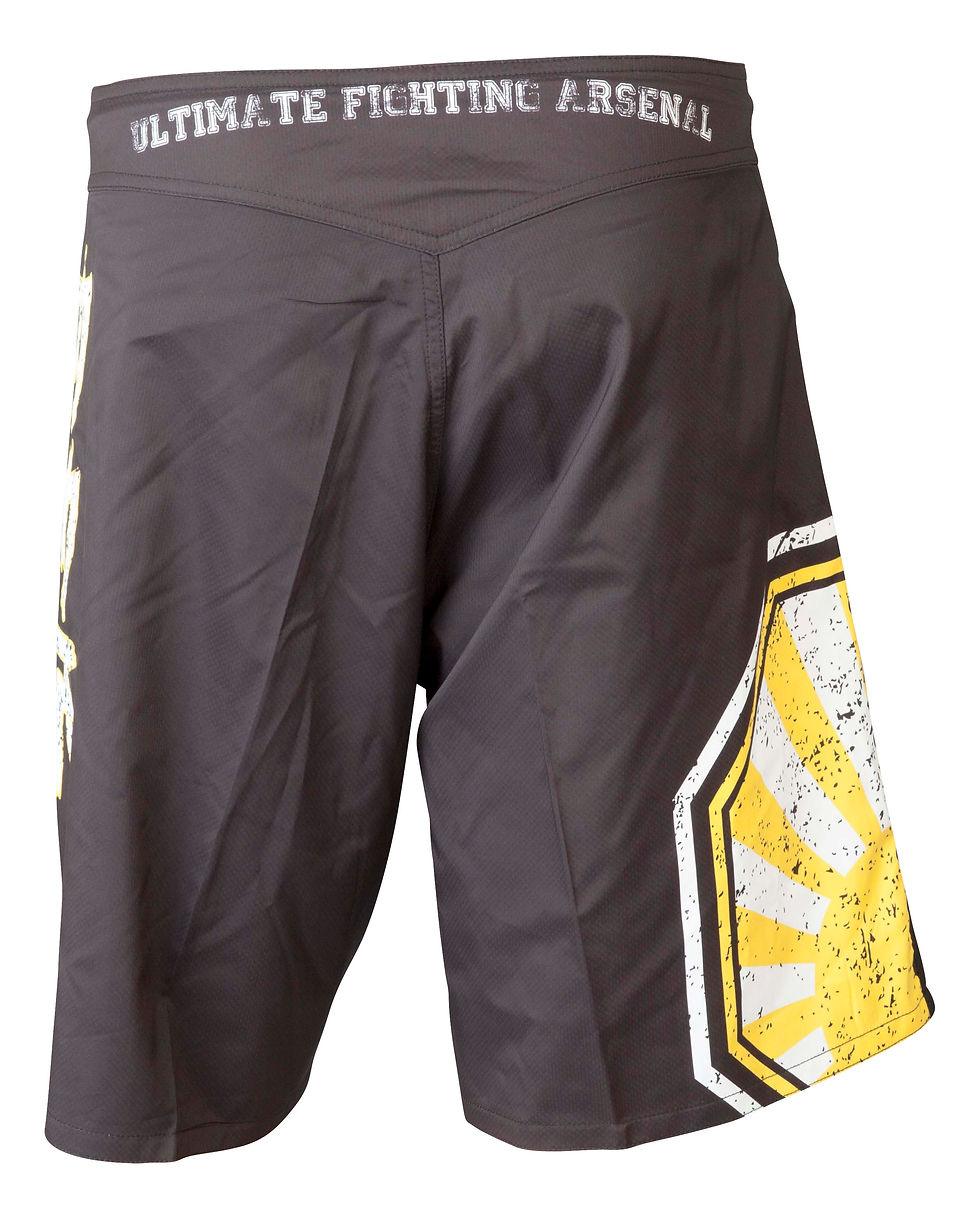 Miniaturbild: TOP TEN MMA Shorts "Sunrise"