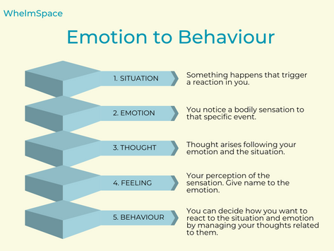 Regulating Your Emotions (Unlearning the unreasonable reactions)