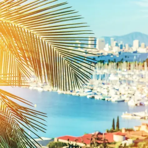 As Santa Ana Winds Fade, San Diego Set for a Mild Weekend Warm-Up