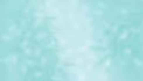 arriere-plan-studio-ombre-feuille-minimaliste-arriere-fond-mur-ombre-gradient-feuilles-arb