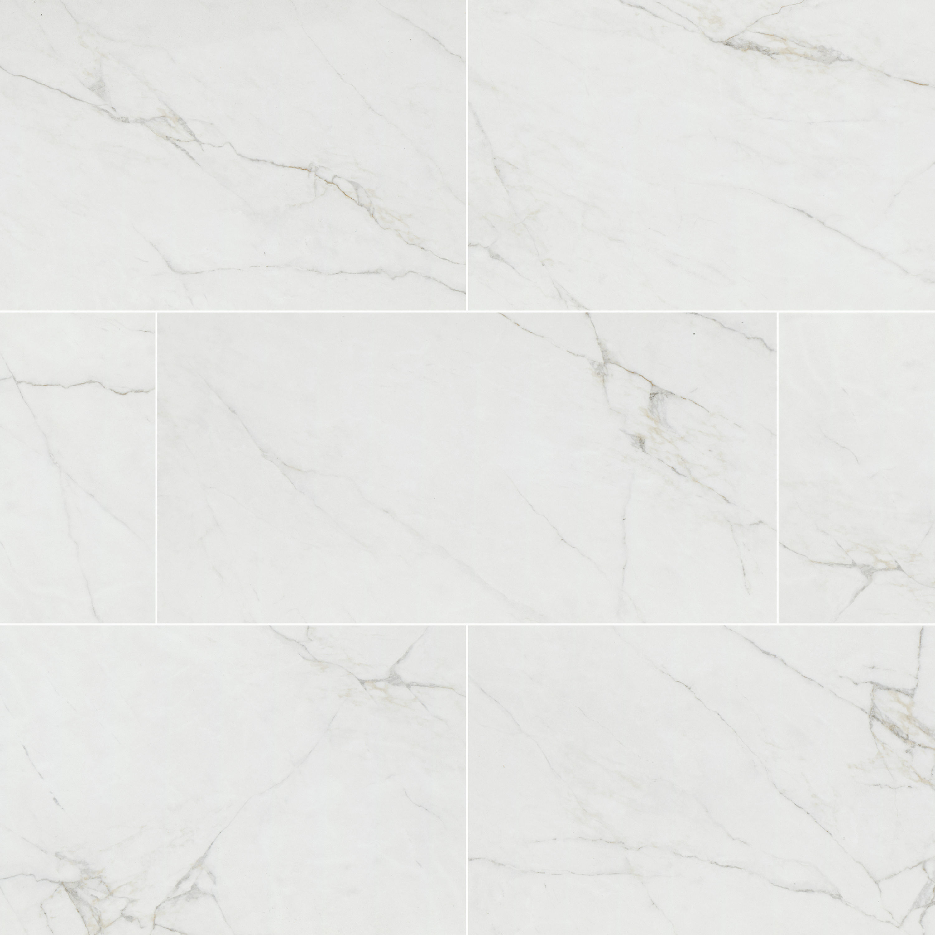 Dymo Calacatta White 12x24 GLOSSY