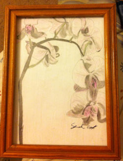 drawing7