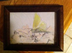 drawing9