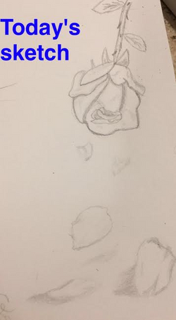 drawing1