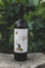 étiquettes de vins naturels les hauts de riquets gaia