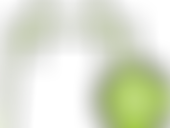 Support Export Kreditoren/Debitoren