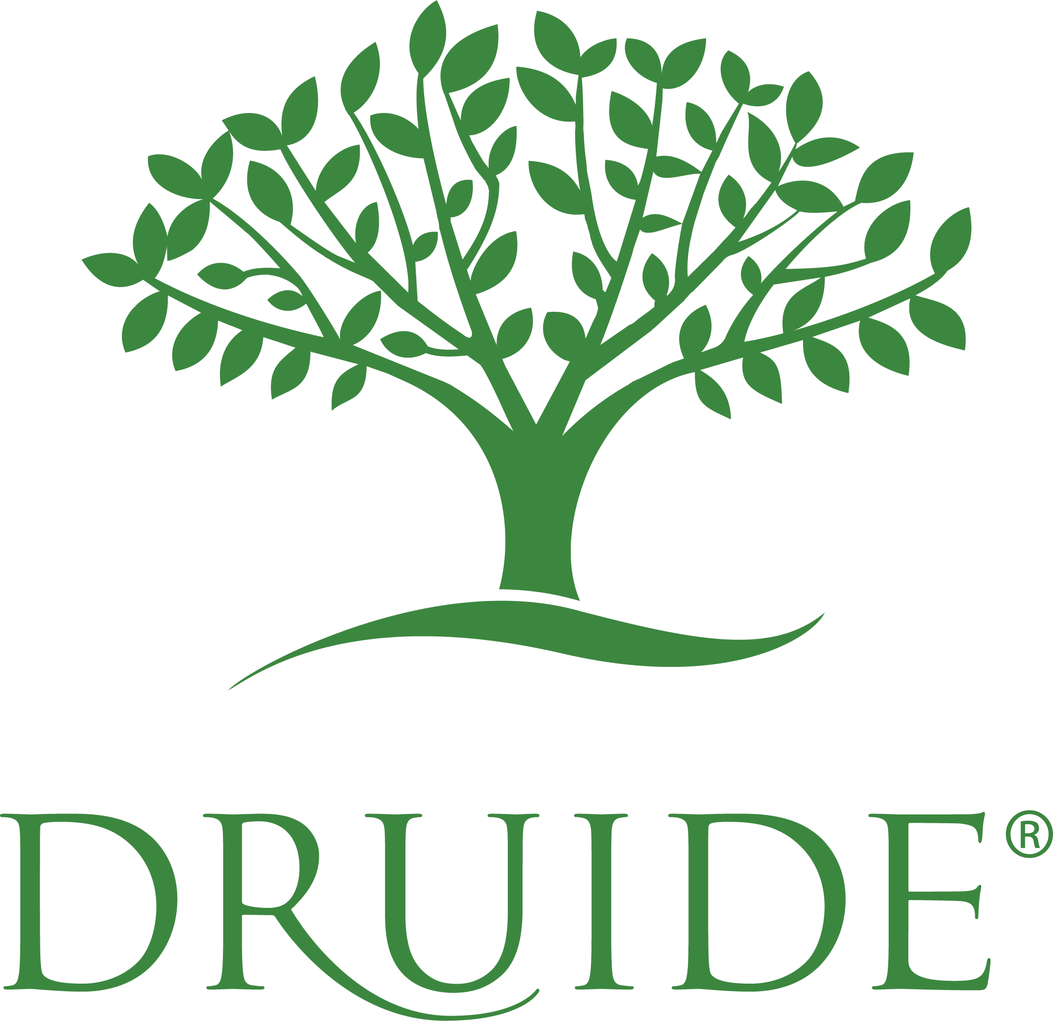 DRUIDE -15 %