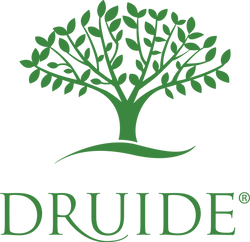 DRUIDE -15 %