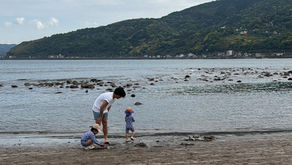 ルート治療 町田 鍼灸