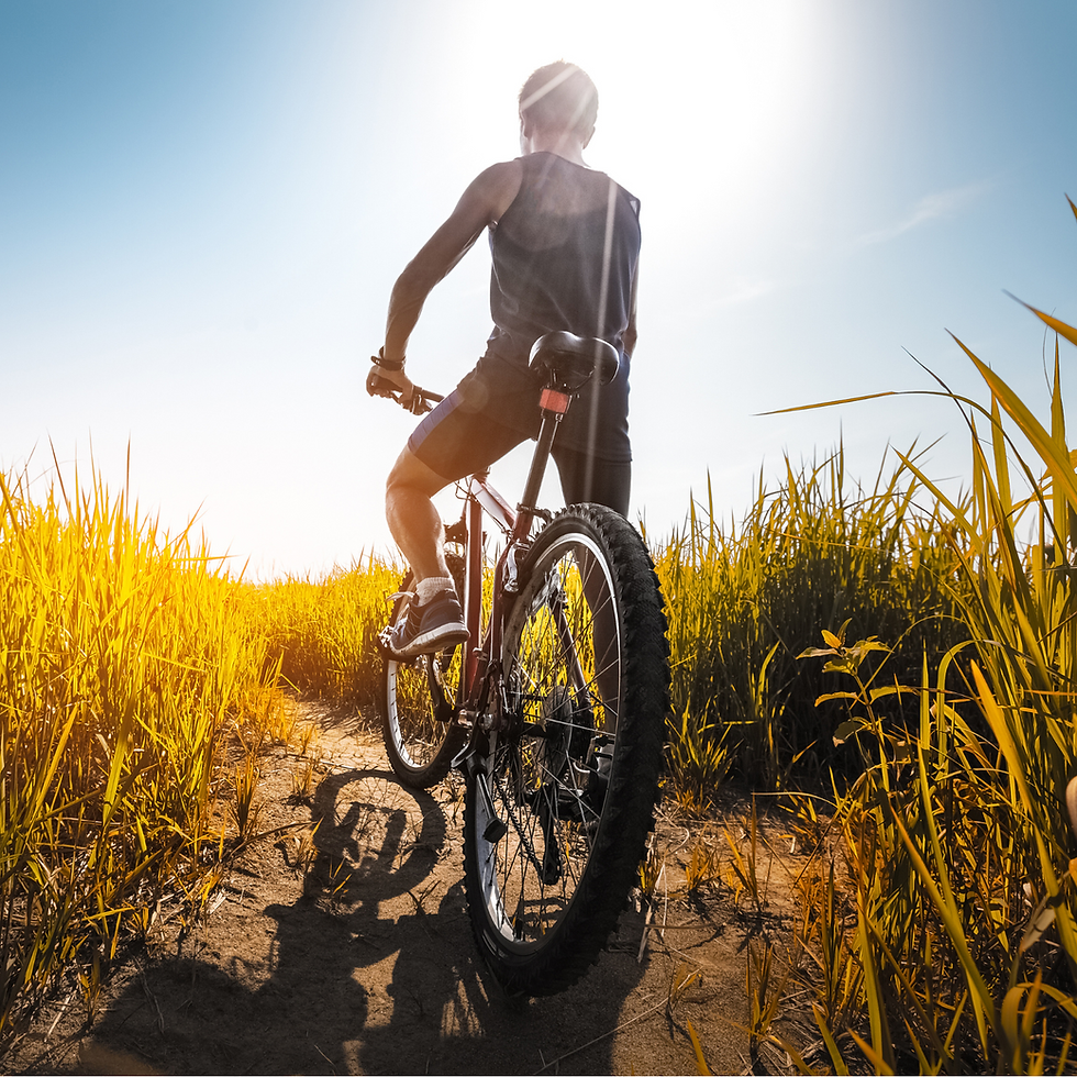 Cycling Adventure – Pedal Through the Heart of Bali